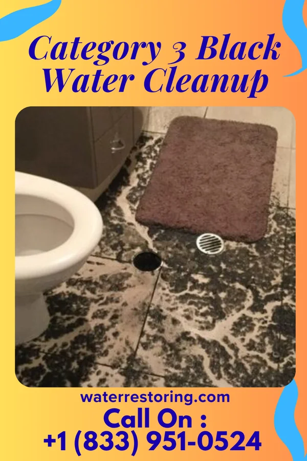 Category 3 Black Water Cleanup in Windfall City, IN