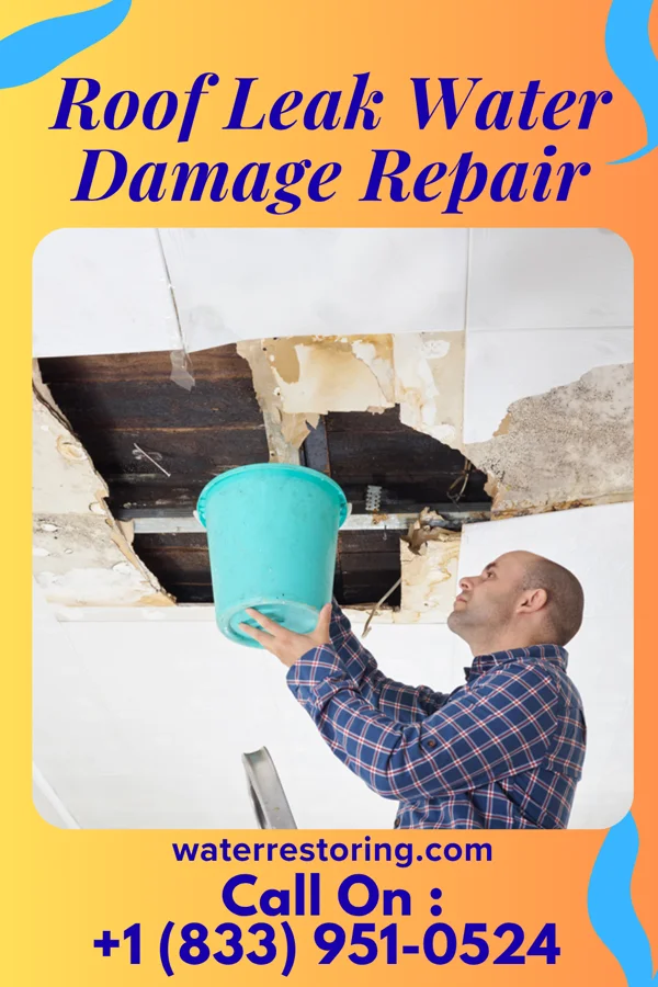 Roof Leak Water Damage Repair in Windfall City, IN