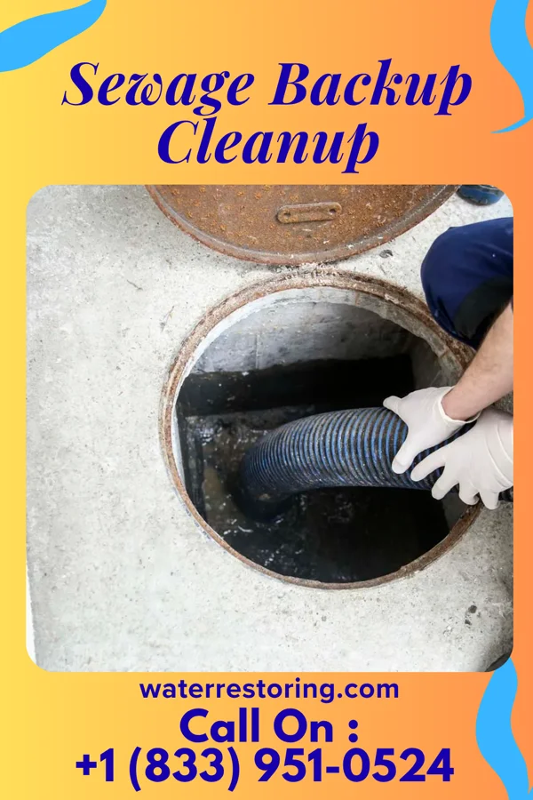 Sewage Backup Cleanup in Windfall City, IN
