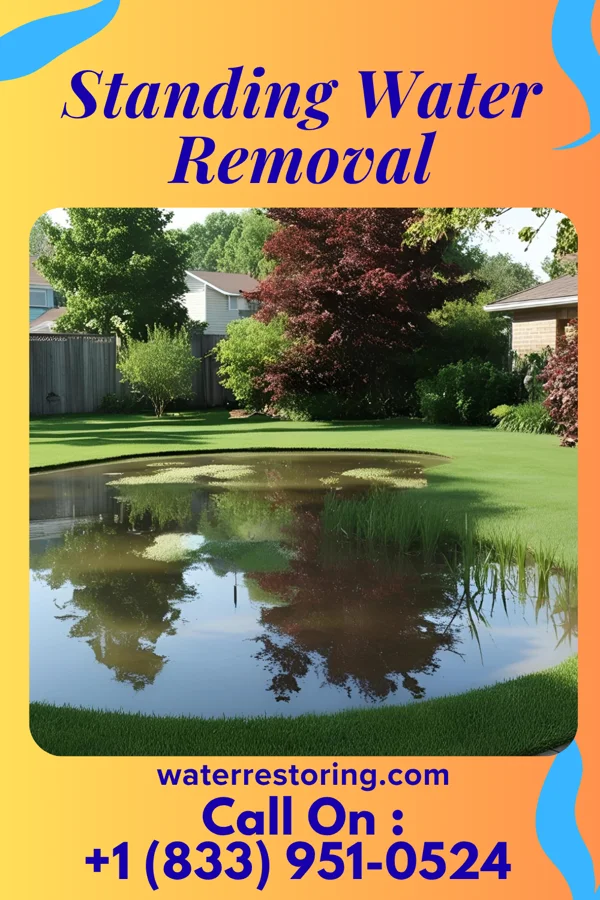 Standing Water Removal in Windfall City, IN
